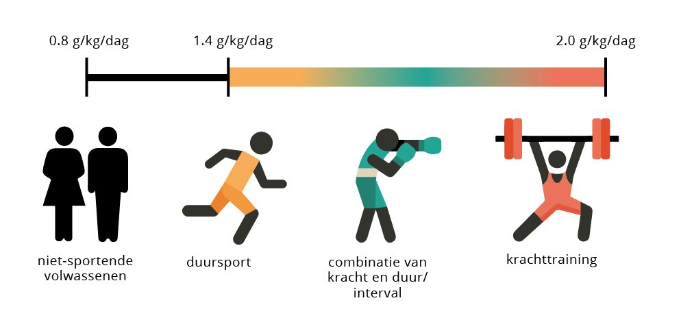 eiwitbehoefte per doelgroep