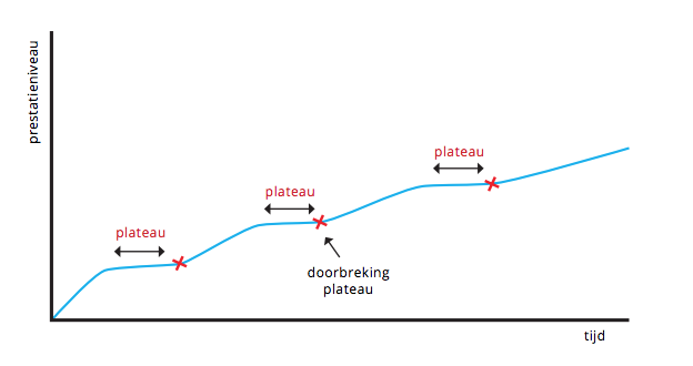 trainingsplateau