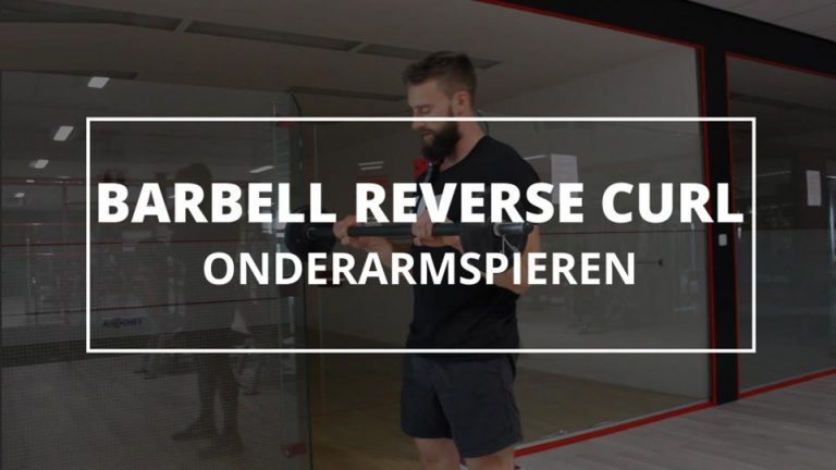 Barbell Reverse Curl