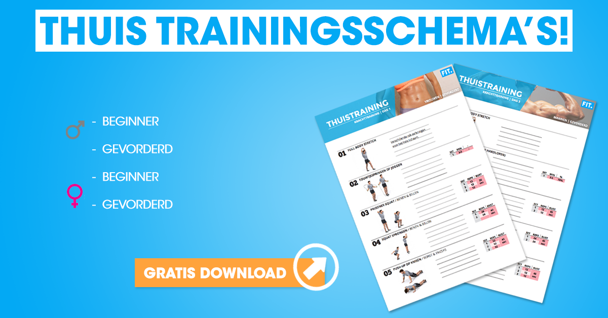 Verkeersopstopping vacuüm Plaatsen Download hier een Gratis Thuis Training Schema! | FIT.nl