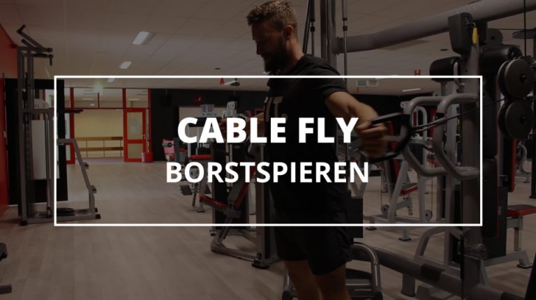 Cable Fly