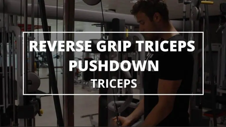 Reverse Grip Triceps Pushdown