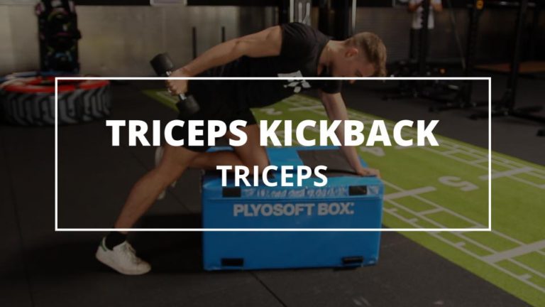 Triceps Kickback
