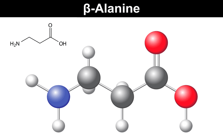 beta alanine