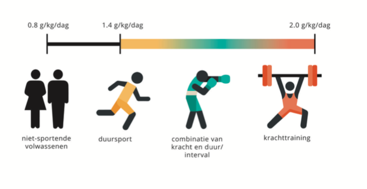 hoeveel gram noten per dag