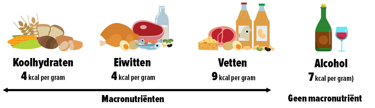macronutrienten