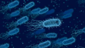 eten-ziekte-bacterie