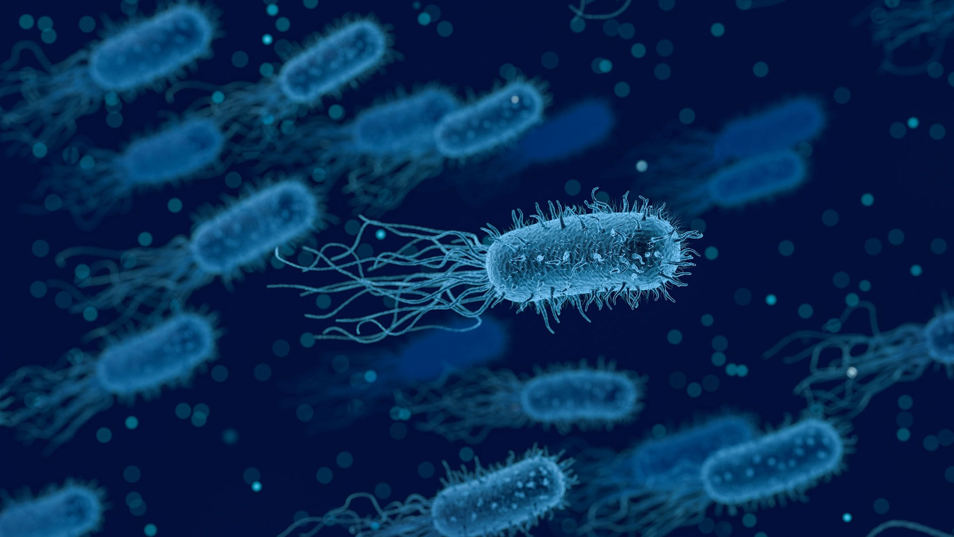 eten-ziekte-bacterie