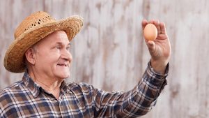 1 april grap: FIT.nl lanceert FIT eiwitrijke eieren