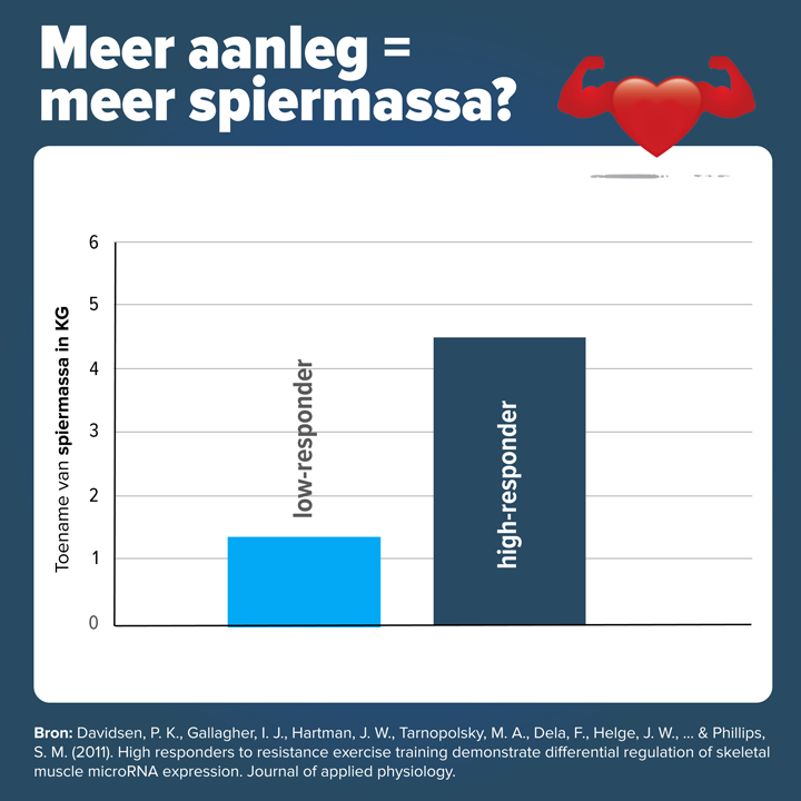 Spiermassa-aanleg-infographic