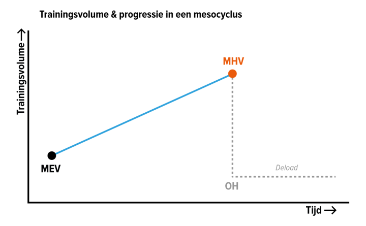 trainingsvolume-progressie-cyclus