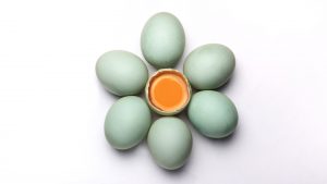 Onderzoek: Hele eieren eten waarschijnlijk effectiever voor spiergroei dan alleen ei-eiwit