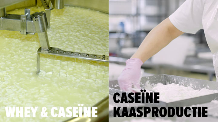 kaas-productie