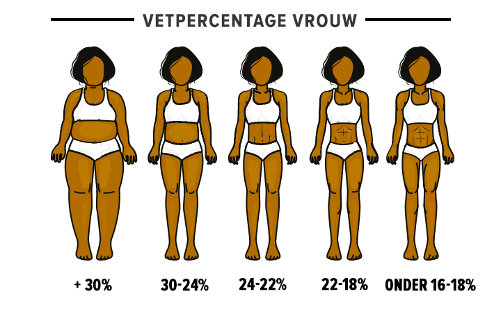 vetpercentage-vrouw