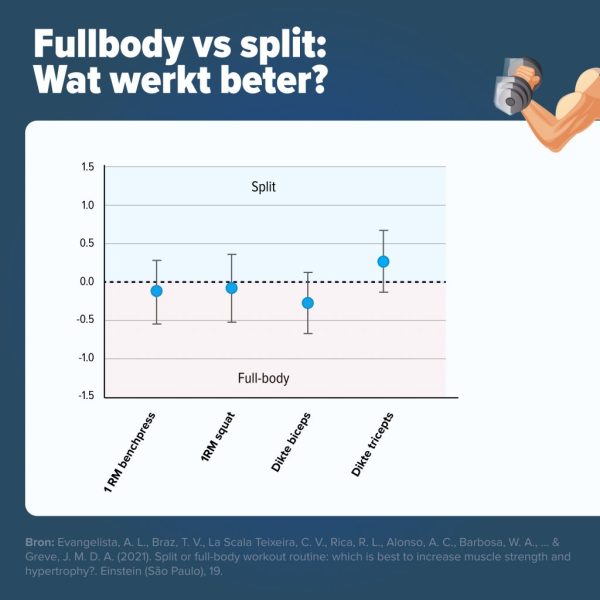 full body vs split