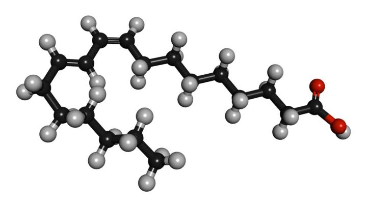 Conjugated-linoleic-acid