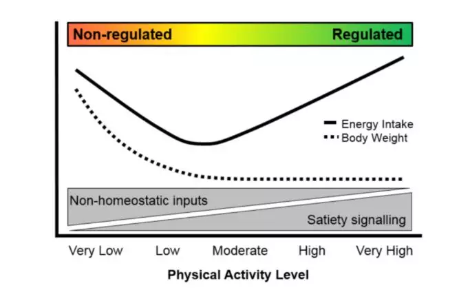 Mayer activity range