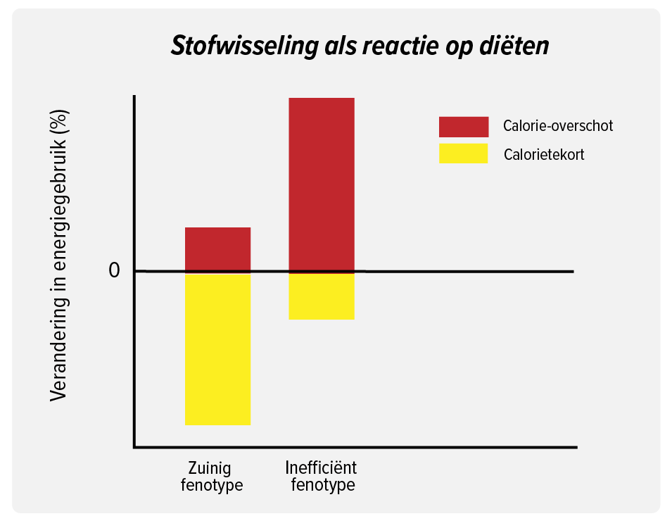 aanleg dik worden