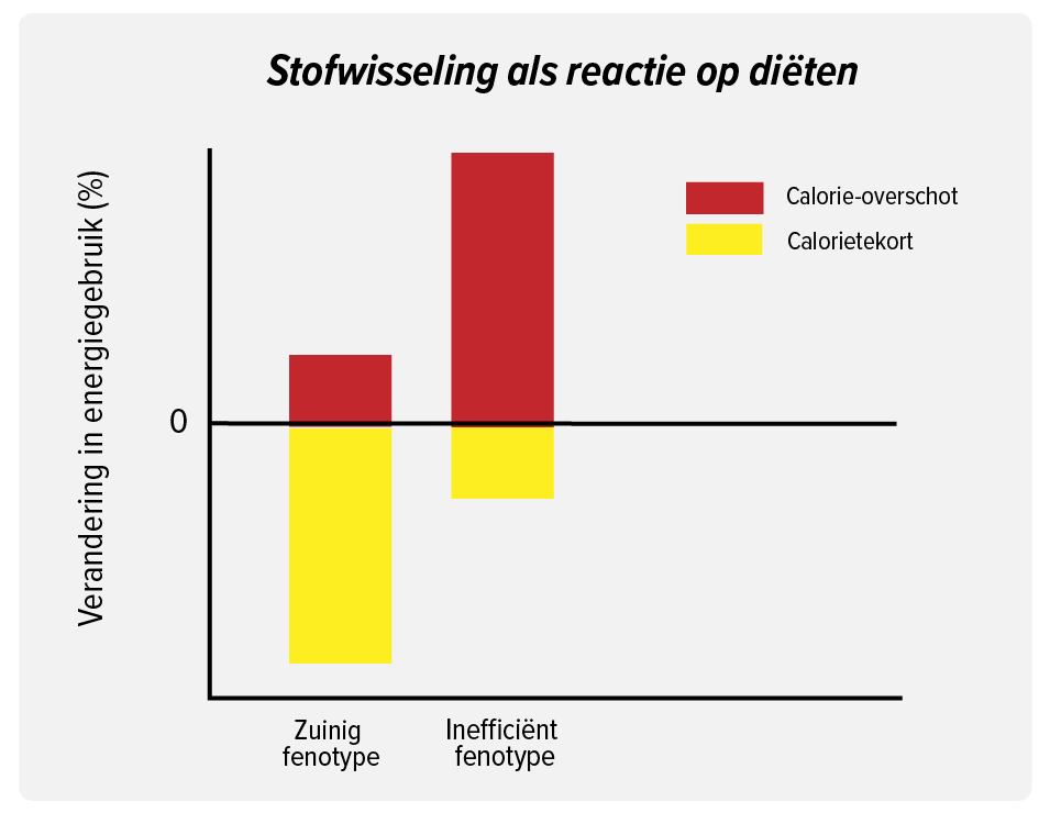 aanleg dik worden