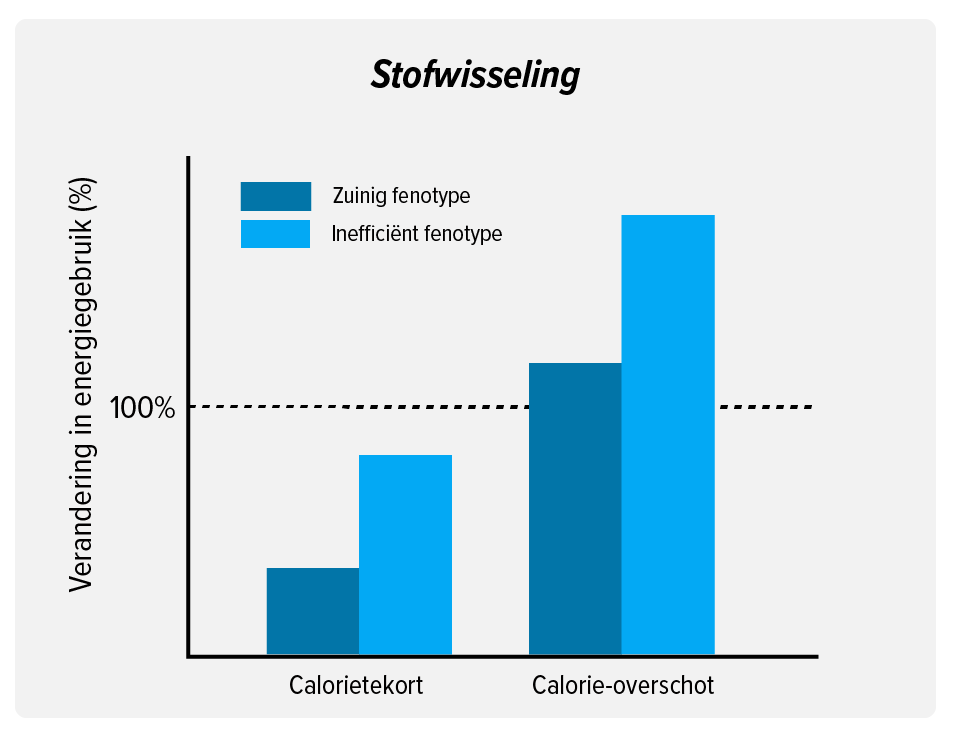 Aanleg dik worden artikel