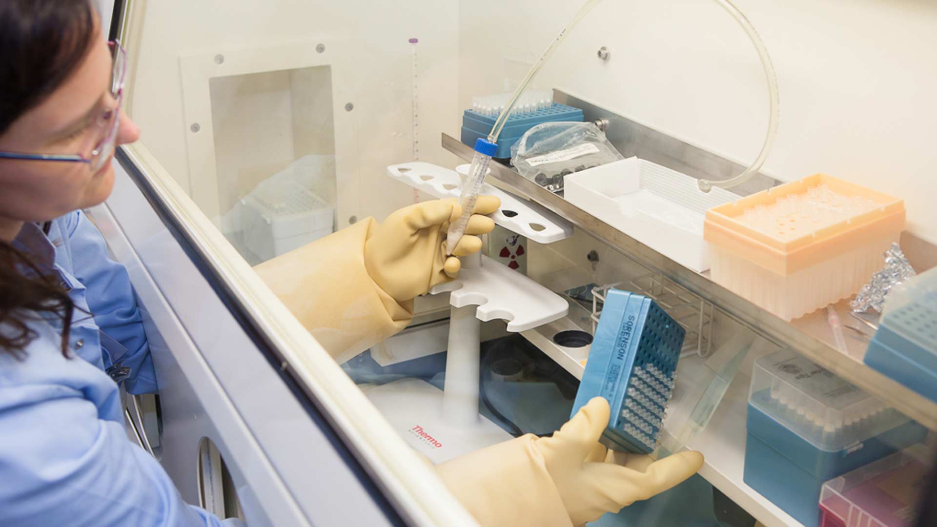 In vitro