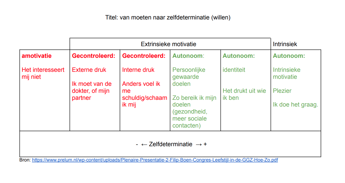 De zelfdeterminatietheorie