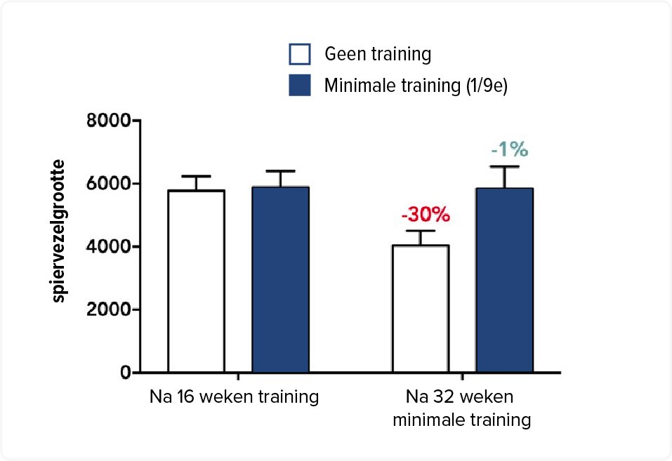 trainen onderhoud spiermassa