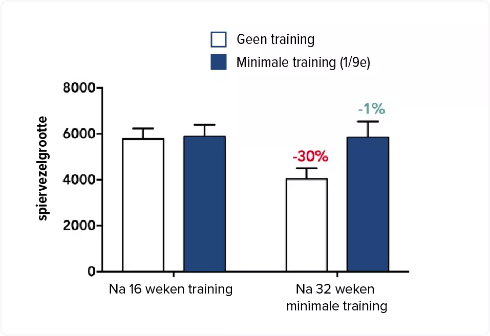 trainen onderhoud spiermassa