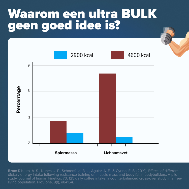 bulken advies