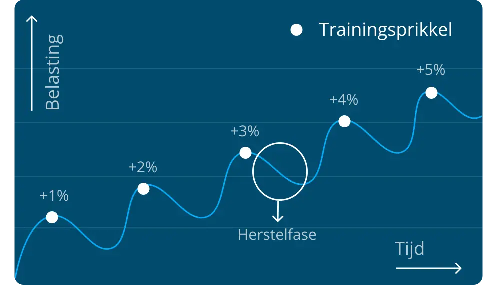 Progressive overload