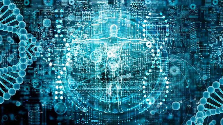 stofwisseling-versnellen