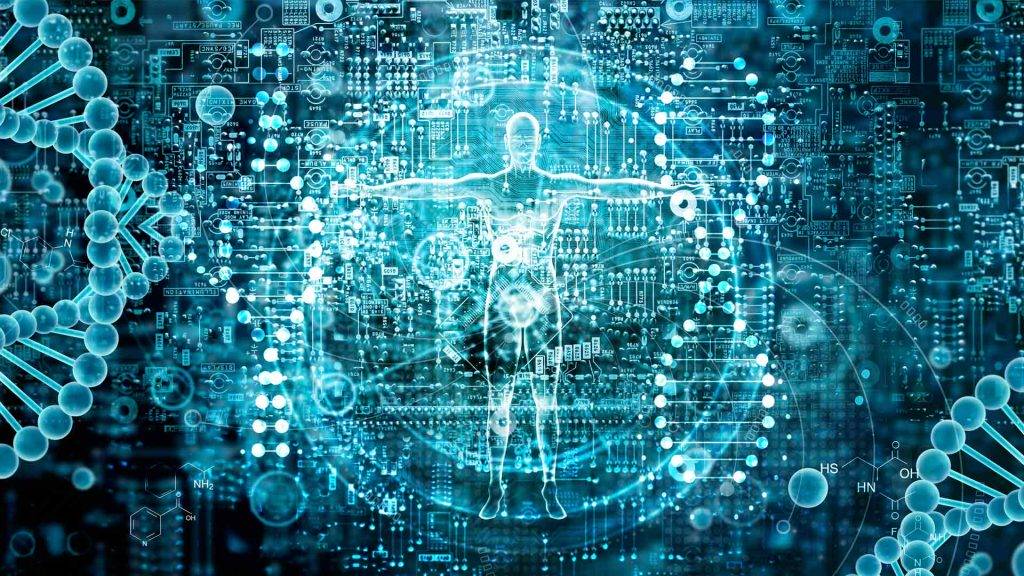 stofwisseling-versnellen