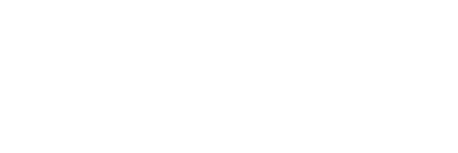 nl-actief-wit