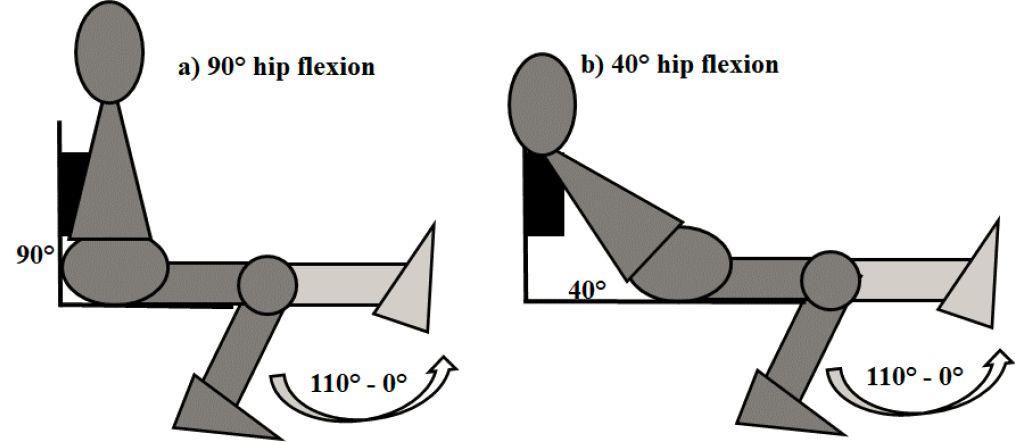 activiatie leg extension