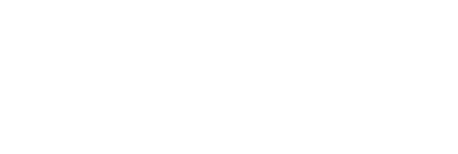 nl-actief-wit