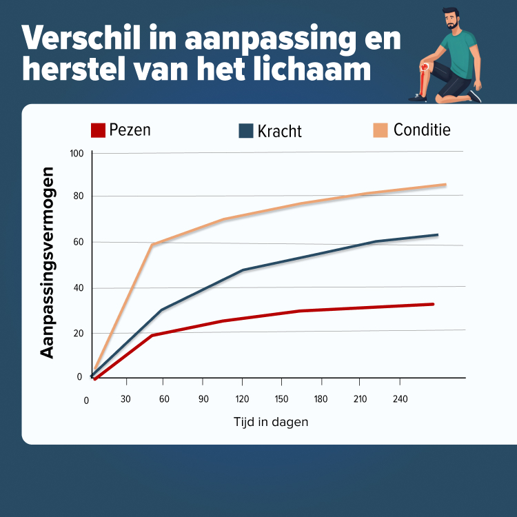 Snelheid herstel