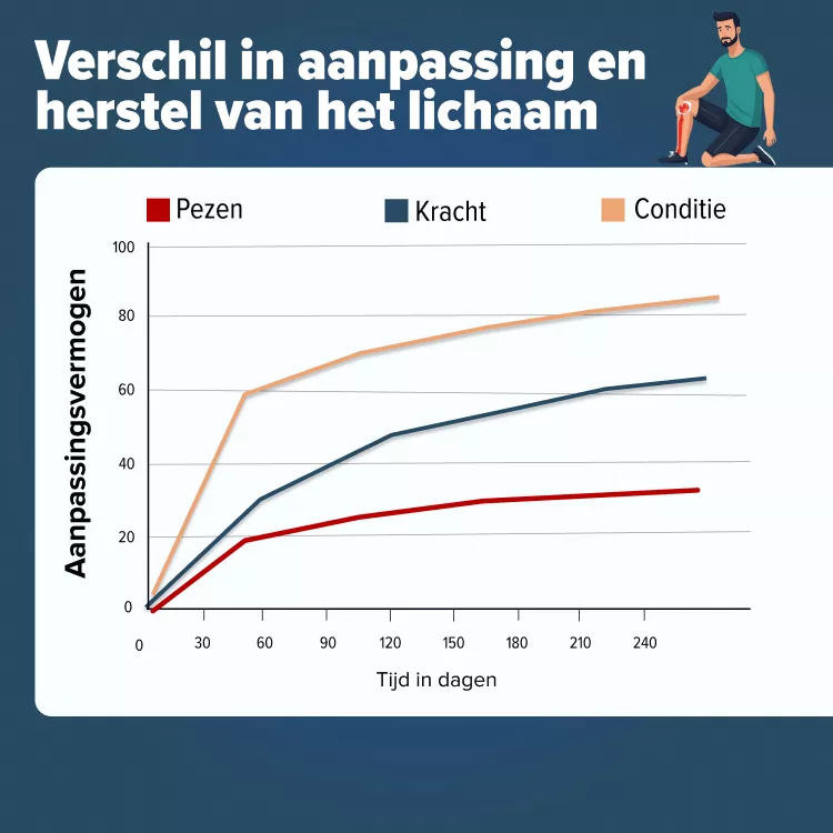 Snelheid herstel