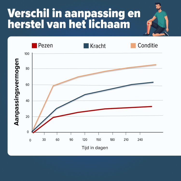 Snelheid herstel